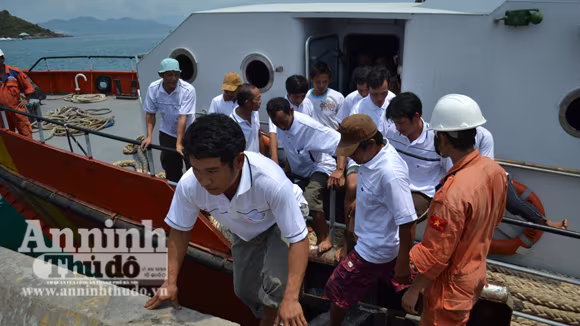 Lai dắt tàu câu mực bị nạn cùng 47 thuyền viên vào bờ an toàn ảnh 2 Lai dắt tàu câu mực bị nạn cùng 47 thuyền viên vào bờ an toàn ảnh 2