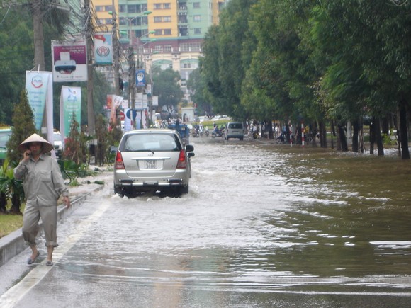 Bài 1: Tai hoạ rơi từ trên trời ảnh 1 Bài 1: Tai hoạ rơi từ trên trời ảnh 1