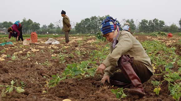 Tiếp tục giao đất 20 năm ảnh 1 Tiếp tục giao đất 20 năm ảnh 1