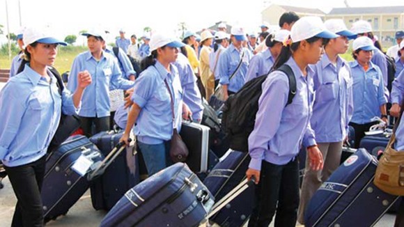 Thảm hoạ xuất khẩu lao động... chui ảnh 1 Thảm hoạ xuất khẩu lao động... chui ảnh 1