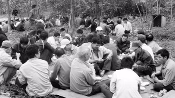 Lời nguyền của “rừng Chết” ảnh 2 Lời nguyền của “rừng Chết” ảnh 2