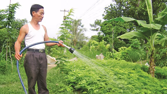 Cây sưa được lùng mua với giá tiền tỷ: Đâu là giá trị thực?  ảnh 1