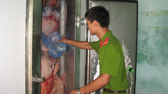 Tăng cường phòng, chống vi phạm về môi trường  ảnh 1