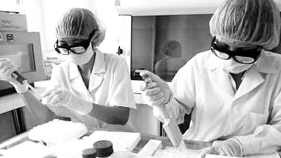 Virus cúm A/H5N1đã biến đổi ảnh 1 Virus cúm A/H5N1đã biến đổi ảnh 1