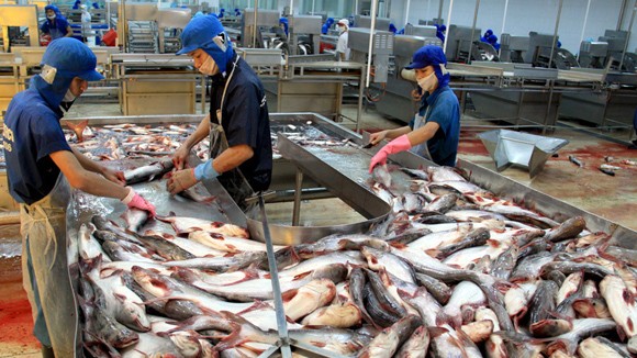 Nợ xấu và chỉ số tiêu dùng (CPI): Không nên tự trói chặt cả hai tay ảnh 1 Nợ xấu và chỉ số tiêu dùng (CPI): Không nên tự trói chặt cả hai tay ảnh 1