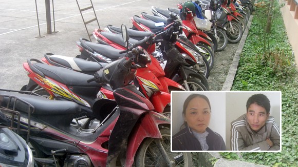 Hai mẹ con tổ chức đá gà ảnh 1 Hai mẹ con tổ chức đá gà ảnh 1