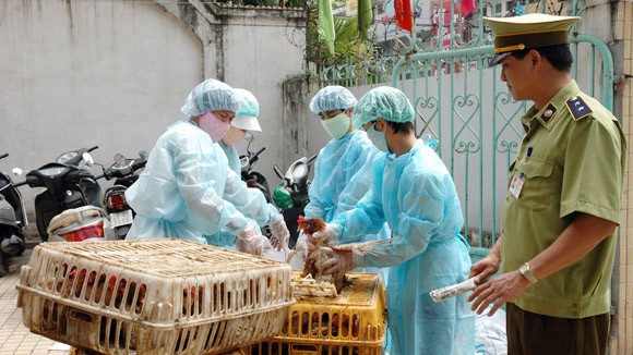Một trường hợp tử vong do nhiễm cúm A/H5N1 ảnh 1 Một trường hợp tử vong do nhiễm cúm A/H5N1 ảnh 1