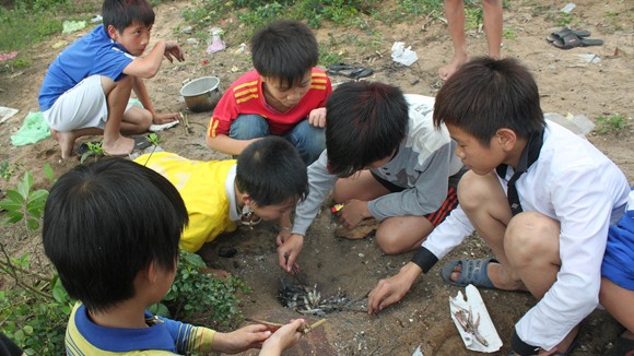 Hoàng hôn trên biển Hải Hòa ảnh 2 Hoàng hôn trên biển Hải Hòa ảnh 2
