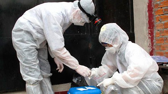 Ninh Thuận: Công bố dịch bệnh cúm H5N1 trên đàn chim yến nuôi ảnh 1 Ninh Thuận: Công bố dịch bệnh cúm H5N1 trên đàn chim yến nuôi ảnh 1