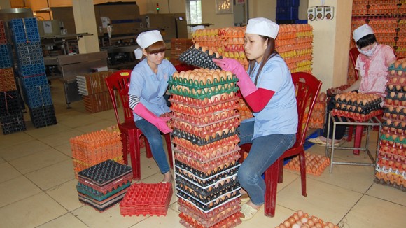 Hàng nội dư thừa, thực phẩm lậu vẫn tràn lan ảnh 1 Hàng nội dư thừa, thực phẩm lậu vẫn tràn lan ảnh 1