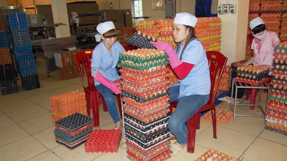 Hàng nội dư thừa, thực phẩm lậu vẫn tràn lan ảnh 1 Hàng nội dư thừa, thực phẩm lậu vẫn tràn lan ảnh 1