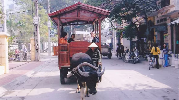 Về Bát Tràng mà đi... xe trâu ảnh 1 Về Bát Tràng mà đi... xe trâu ảnh 1
