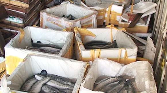 “Phát lộ” nguồn cung thủy sản lậu tuyến biên giới ảnh 1 “Phát lộ” nguồn cung thủy sản lậu tuyến biên giới ảnh 1