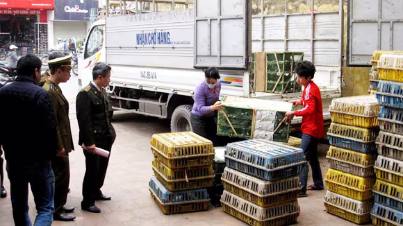 Khẳng định vai trò, vị thế ảnh 1 Khẳng định vai trò, vị thế ảnh 1