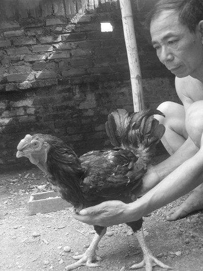 “Mất ý chí là mất tất cả” ảnh 2 “Mất ý chí là mất tất cả” ảnh 2