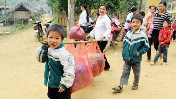 Ngày đông ấm ở Trung Sơn ảnh 1 Ngày đông ấm ở Trung Sơn ảnh 1