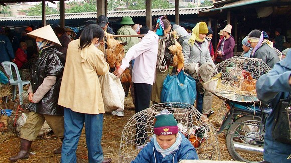 Không thể chặn hết thực phẩm “bẩn” ảnh 1 Không thể chặn hết thực phẩm “bẩn” ảnh 1