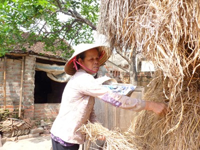Chuyện của một người đàn bà đi hỏi vợ cho chồng và sức mạnh của lòng nhân ái ảnh 2 Chuyện của một người đàn bà đi hỏi vợ cho chồng và sức mạnh của lòng nhân ái ảnh 2