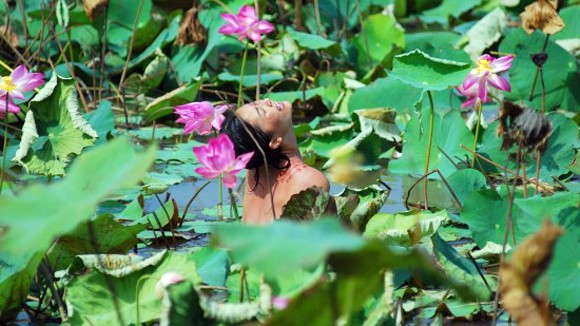 Phê bình văn học: Đừng nhăm nhăm vạch vòi... ảnh 1 Phê bình văn học: Đừng nhăm nhăm vạch vòi... ảnh 1