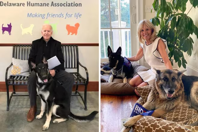 “Gia đình đệ nhất” của nước Mỹ rất yêu quý động vật “Gia đình đệ nhất” của nước Mỹ rất yêu quý động vật