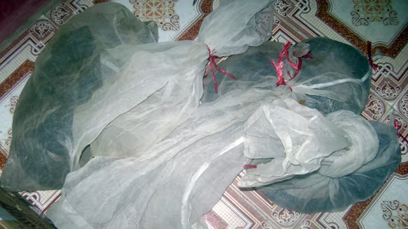 Rắn được buộc gọn trong 3 túi lưới Rắn được buộc gọn trong 3 túi lưới