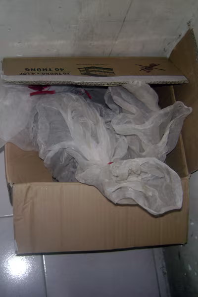 Chủ quán thịt thú rừng làm thêm "nghề" buôn “rắn chúa” ảnh 1 Chủ quán thịt thú rừng làm thêm "nghề" buôn “rắn chúa” ảnh 1