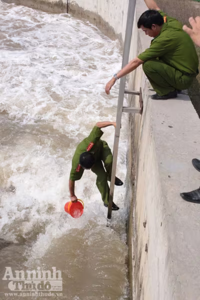 Dầu thải dẫn đến hồ lắng, dẫn ra sông Bạch Đằng Dầu thải dẫn đến hồ lắng, dẫn ra sông Bạch Đằng