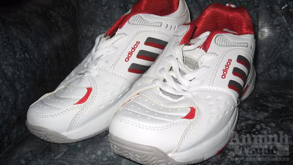 Tạm giữ trên 1.000 đôi giầy Adidas và Nike nhập lậu ảnh 3 Tạm giữ trên 1.000 đôi giầy Adidas và Nike nhập lậu ảnh 3