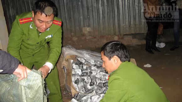 Tạm giữ trên 1.000 đôi giầy Adidas và Nike nhập lậu ảnh 9 Tạm giữ trên 1.000 đôi giầy Adidas và Nike nhập lậu ảnh 9