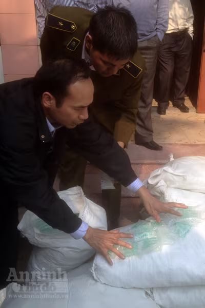 Vừa phát hiện lượng hóa chất “siêu khủng” kích thích giá đỗ ảnh 6 Vừa phát hiện lượng hóa chất “siêu khủng” kích thích giá đỗ ảnh 6