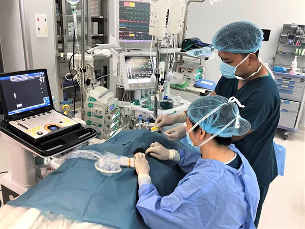 Vinmec là bệnh viện đầu tiên trên thế giới áp dụng và nghiên cứu về hiệu quả của kỹ thuật gây tê mặt phẳng cơ dựng sống kiểm soát các cơn đau do mổ tim