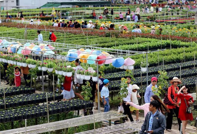 Du lịch Sa Đéc phát triển nhanh trong vài năm trở lại đây (Ảnh Internet) Du lịch Sa Đéc phát triển nhanh trong vài năm trở lại đây (Ảnh Internet)