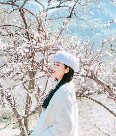 Lạc giữa thiên đường hoa mận trắng (Ảnh: thuyanhnguyenx) Lạc giữa thiên đường hoa mận trắng (Ảnh: thuyanhnguyenx)