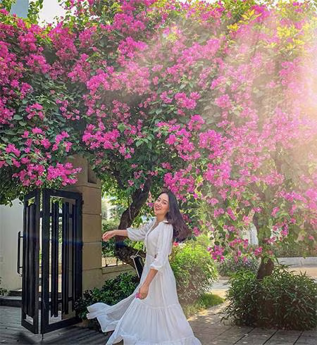 Giàn hoa giấy tím ngắt hút mắt tại FLC Sầm Sơn (Ảnh: kimm.vuu)