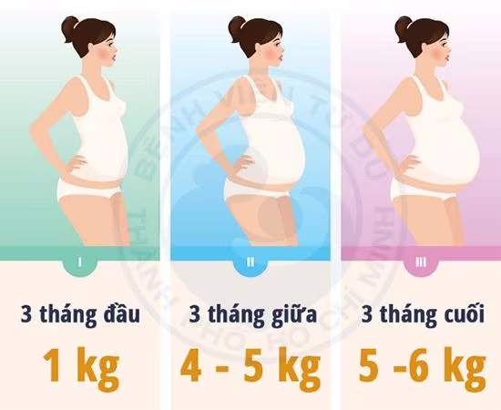 Với tình trạng dinh dưỡng bình thường (BMI: 18,5 – 24,9) mức tăng cân của người mẹ trong thai kỳ nên đạt là 10 – 12 kg Với tình trạng dinh dưỡng bình thường (BMI: 18,5 – 24,9) mức tăng cân của người mẹ trong thai kỳ nên đạt là 10 – 12 kg