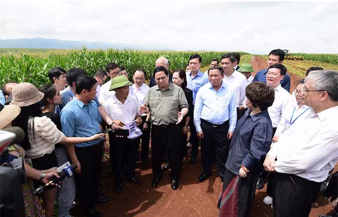 Thủ tướng Phạm Minh Chính trò chuyện với nông dân Hoàng Văn Thanh (bên trái) trên cánh đồng Đông Hiếu. Thủ tướng Phạm Minh Chính trò chuyện với nông dân Hoàng Văn Thanh (bên trái) trên cánh đồng Đông Hiếu.