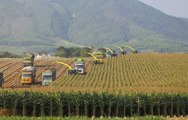 Tập đoàn TH tiên phong ứng dụng công nghệ cao vào quy trình sản xuất thúc đẩy mô hình kinh tế xanh, kinh tế tuần hoàn. Tập đoàn TH tiên phong ứng dụng công nghệ cao vào quy trình sản xuất thúc đẩy mô hình kinh tế xanh, kinh tế tuần hoàn.