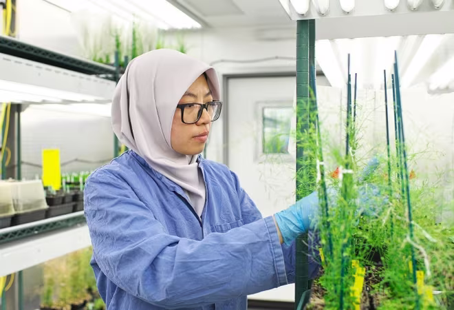 TS. Nadia Radzman sẽ mang đến những kinh nghiệm thực tiễn từ các nghiên cứu và dự án của bà trong lĩnh vực nông nghiệp và thực phẩm tại Tuần lễ khoa học công nghệ VinFuture năm nay. Ảnh: IE Cambridge. TS. Nadia Radzman sẽ mang đến những kinh nghiệm thực tiễn từ các nghiên cứu và dự án của bà trong lĩnh vực nông nghiệp và thực phẩm tại Tuần lễ khoa học công nghệ VinFuture năm nay. Ảnh: IE Cambridge.