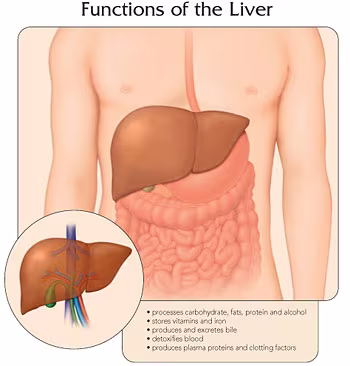 1/3 dân số thế giới nhiễm virus có thể gây viêm gan 1/3 dân số thế giới nhiễm virus có thể gây viêm gan