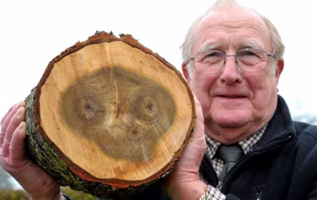 Sự trùng hợp ngẫu nhiên Sự trùng hợp ngẫu nhiên