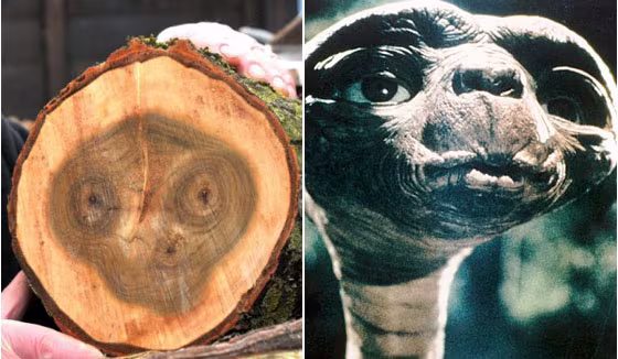 Sự trùng hợp ngẫu nhiên Sự trùng hợp ngẫu nhiên