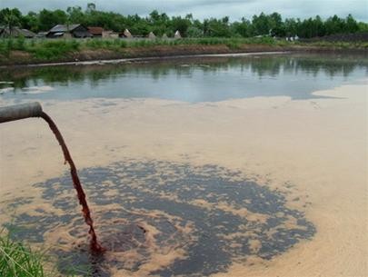 Người bán dâm và mua dâm đều phải bị xử lý ngang nhau! ảnh 2 Người bán dâm và mua dâm đều phải bị xử lý ngang nhau! ảnh 2