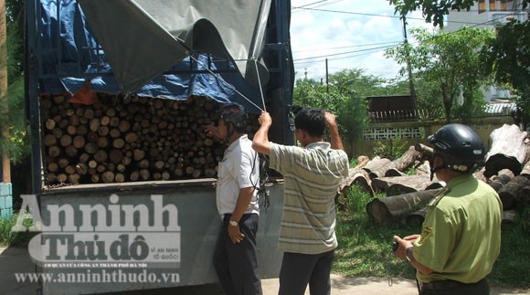 Liên tiếp bắt quả tang xe vận chuyển gỗ trái phép ảnh 1 Liên tiếp bắt quả tang xe vận chuyển gỗ trái phép ảnh 1