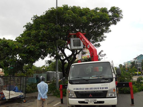 Bình Định khẩn trương ứng phó với bão số 8 ảnh 1 Bình Định khẩn trương ứng phó với bão số 8 ảnh 1