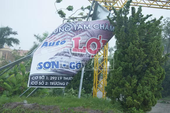 Quảng Bình: Tan hoang sau bão số 10 ảnh 8 Quảng Bình: Tan hoang sau bão số 10 ảnh 8