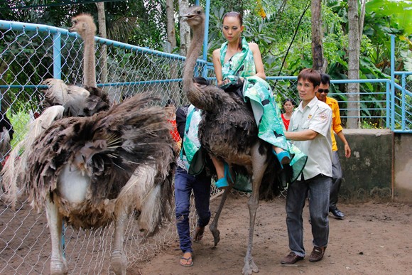 Bị gọi là "thảm họa thời trang", Kim Thoa chia tay Next top ảnh 7 Bị gọi là "thảm họa thời trang", Kim Thoa chia tay Next top ảnh 7