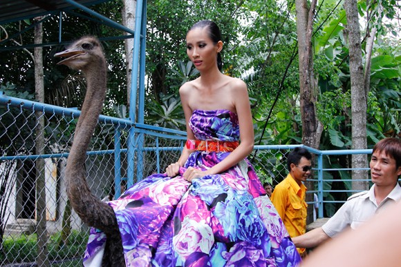 Bị gọi là "thảm họa thời trang", Kim Thoa chia tay Next top ảnh 5 Bị gọi là "thảm họa thời trang", Kim Thoa chia tay Next top ảnh 5