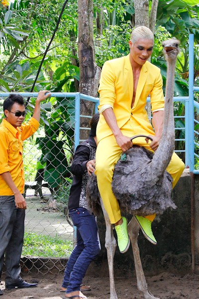 Bị gọi là "thảm họa thời trang", Kim Thoa chia tay Next top ảnh 6 Bị gọi là "thảm họa thời trang", Kim Thoa chia tay Next top ảnh 6