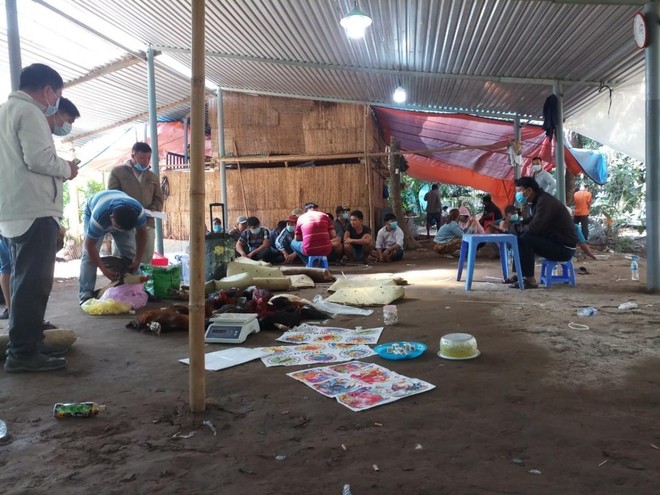 Hiện trường tụ điểm đá gà và lắc bầu cua tại xã Đông Hòa. Ảnh: VOV Hiện trường tụ điểm đá gà và lắc bầu cua tại xã Đông Hòa. Ảnh: VOV