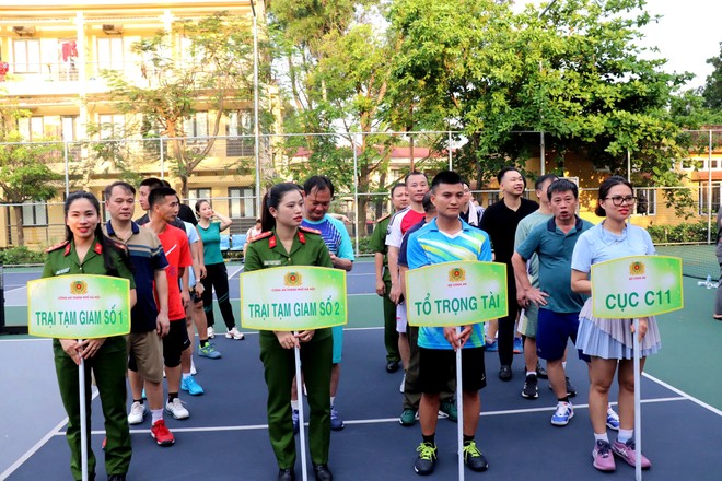 Các đội thi đấu